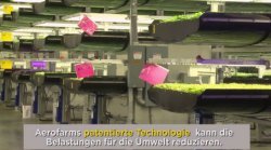 productie van de
                                salades en een landbouwtoren en een stad
                                nabijgelegen van de winkel