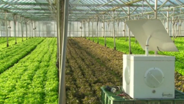 Kas met
                        meditatieve pianomuziek door eenvoudige
                        luidsprekers heeft een 100% effect tegen
                        schimmelaanvallen