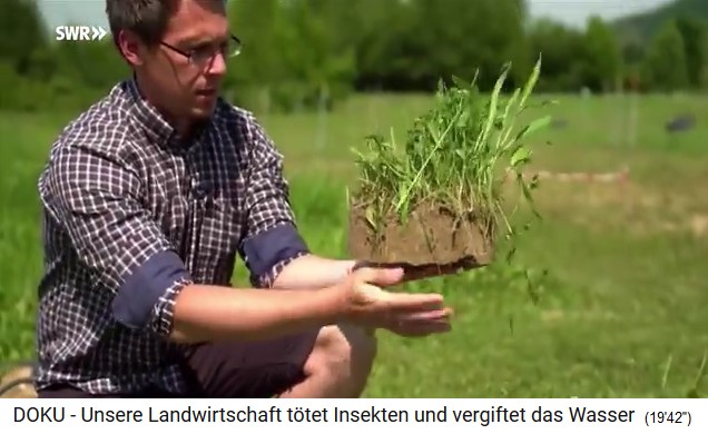 Bad Lauchstädt, Professor Nico
                                  Eisenhauer takes a soil sample 02