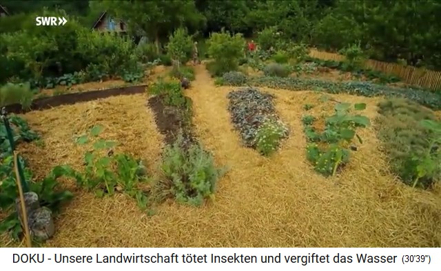 Permaculture farm "Bec
                              Hellouin", hill beds in the mandala
                              field 02