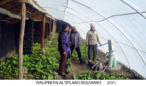Walipini,
                            half sunken greenhouse on an embankment side
                            with transparent plastic sheets to the sunny
                            side