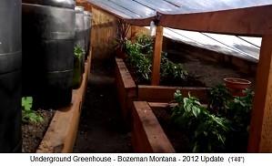 Pit greenhouse in Bozeman
                              in Montana (Canada) with cold air ditch
                              with inlets for the accessibility of the
                              plants - pepper plants grow here also in
                              winter, when there is outside below 0
                              degrees Celsius.