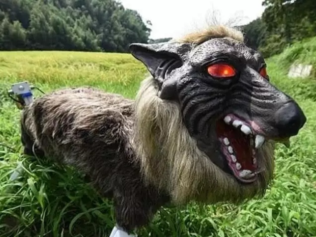 Japan
                              entwickelt einen Roboter-Wolf gegen B�ren
                              am 28.12.2024