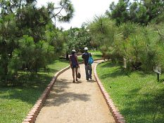 Der Sandweg, der durch den Botanischen
                          Garten f�hrt