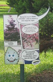 Botanischer Garten im
                          "Legendenpark" in Lima, die Tafel
                          der Sicheltanne