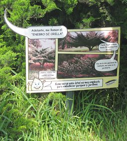 Botanischer Garten im
                          "Legendenpark" in Lima, die Tafel
                          des Kriechwacholder