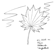 Ahorn: Acer Shirasawanum