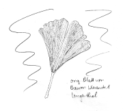 Ginkgo (Silberbaum,
                                M�dchenhaarbaum)