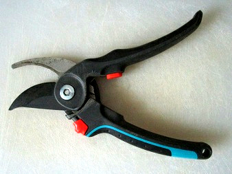 Baumschere von Gardena
                        mit der schwarzen Klinge oben offen