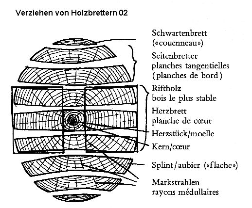 Schwinden / Schrumpfen / Verziehen von frisch
                      zugeschnittenen Holzbrettern 02: Schwartenbrett,
                      Seitenbretter, Riftholz, Herzbrett, Herzst�ck,
                      Kern, Splint, Markstrahlen (Friedli, S.7)
