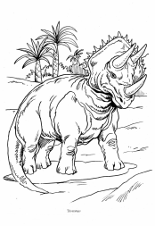 Dinosaurier: Triceratops mit 3
Hörnern Dinosaurier:
Triceratops mit 3 Hörnern