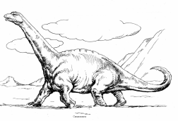 Dinosaurus:
                                    Camarasaurus 1