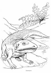 Dinosaurus: Dendererpeton Dinosaurus: Dendererpeton