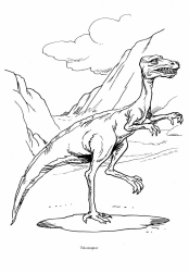 Dinosaurier:
                                Velociraptor, ein Riesenstrauss
