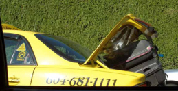 Taxi mit Gepck.
                      Niemand weiss, wie viele Flhe da mitfahren
