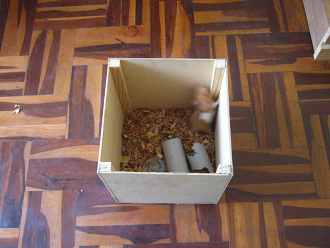Brauner Hamster in der Notkiste 01:
                              Also musste der braune Hamster, der
                              aggressivere, in die Notkiste