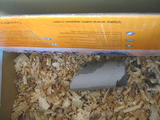 Brauner Hamster in grossem Karton 01:
                              Der braune Hamster hatte einen grossen
                              Karton erhalten, mit viel Sgemehl und
                              Tunneln, Krnern und Wasser