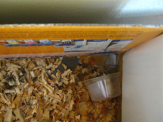 Brauner Hamster in grossem Karton 02:
                              Aber dieser braune Hamster war nicht nur
                              kreativ und herrisch, sondern auch
                              gescheit, stiess das Wasser um, machte so
                              den Karton weich und