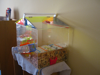 Der braune Hamster im grossen
                              Hamsterhaus 01