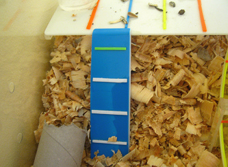Der braune Hamster im grossen
                              Hamsterhaus 05, da sind Kartonschnitzel
                              unter die Holzschnitzel gemischt