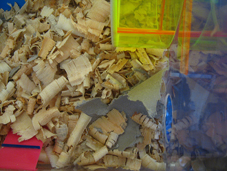 Der braune Hamster im grossen
                              Hamsterhaus 08, ein grosser
                              Kartonschnitzel, der noch nicht ganz
                              zerkleinert ist