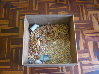 Der weisse
Hamster in der Hamsterkiste 04, Sicht von
oben 01 Der weisse Hamster in der Hamsterkiste
04, Sicht von oben 01