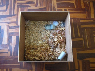 Der weisse
Hamster in der Hamsterkiste 05, Sicht von
oben 02 Der weisse Hamster in der Hamsterkiste
05, Sicht von oben 02
