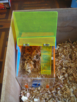 Hamsterkiste mit Hamsterhaus,
Nahaufnahme: Und natürlich wurde auch das
Hamsterhaus mit Sägespänen ausgekleidet Hamsterkiste mit Hamsterhaus,
Nahaufnahme: Und natürlich wurde auch das
Hamsterhaus mit Sägespänen ausgekleidet