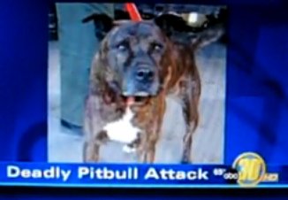 El caso de Colten Smith
(19 meses) de Delhi en California, el Pitbull
asesino El caso de Colten
Smith (19 meses) de Delhi en California, el
Pitbull asesino