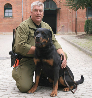 Perro guardi�n
                        Rottweiler (02) como perro polic�a [13]
