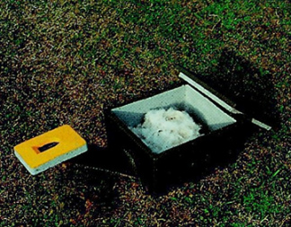 Hummelnistkasten
                          mit Nistwolle zum unterirdischen Einbau