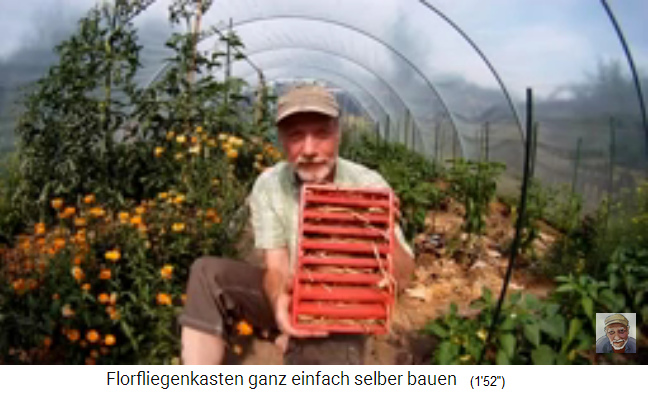 Roter Florfliegenkasten
                          mit Lamellen und Stroh drin