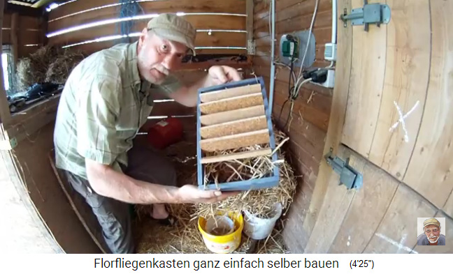 Florfliegenkasten selber
                      bauen 04, Stroh wird reingestopft