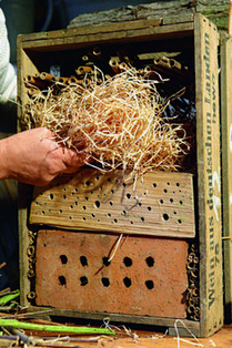 Unfertiges Insektenhotel in Holzkiste
                            mit Tonklotz und Holzklotz mit L�chern und
                            an der Seite flexible R�hrchen, muss an
                            einem gesch�tzten Ort stehen oder einen
                            grossen Wetterschutz bekommen