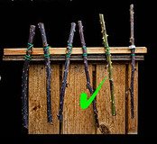 Markst�ngel (Markstiele,
                    markhaltiger Pflanzenhalm) einzeln befestigt, so
                    werden sie von Wildbienen angenommen