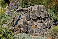 Totholz,
                    Holzstapel