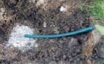 Hummelnest bauen 06: Nun
                                wird die Grube f�r das Hummelbett
                                ausgegraben, etwas Kies hingelegt und
                                der Schlauch verbindet den Kies mit dem
                                Eintrittsbereich auf der urspr�nglichen
                                Bodenh�he