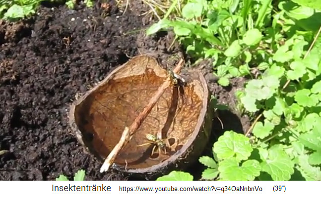 Kokosschale mit Stab dr�ber 01