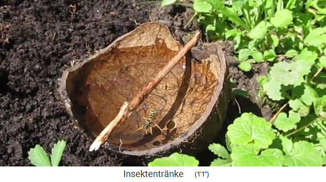 Kokosschale mit Stab dr�ber 02