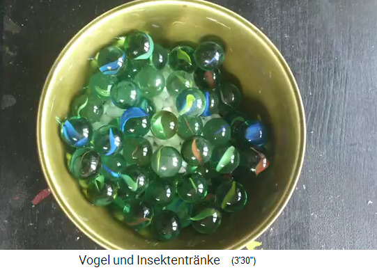 Insektentr�nke mit
                      Steinchen unten und Murmeln oben dr�ber