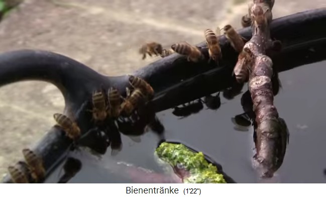 Bienentr�nke mit vollem Kesser mit Ast 04