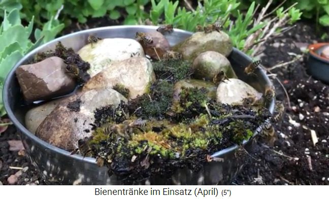 Bienentr�nke mit gef�lltem Kessel, Steinen
                und Moos