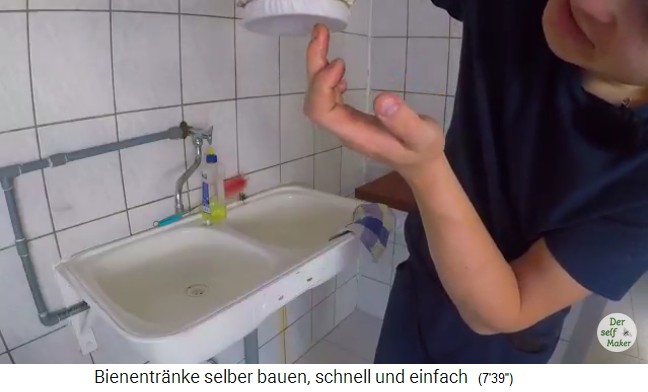 Bienentr�nke aus Senfgurkenglas 08: Bienen
                      saugen sich am feuchten Stoff mit Wasser voll