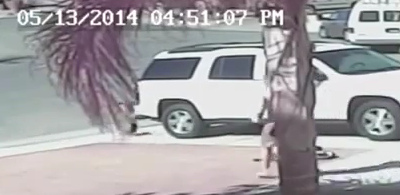 Die Katze vertreibt den Labrador-Hund
                            endg�ltig 02