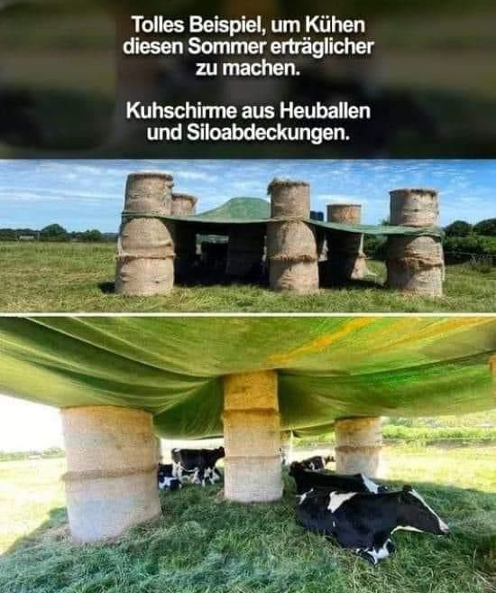 Idee 23.3.2024: Schatten auf der Weide
für das Vieh mit Strohballen und Plane Idee 23.3.2024: Schatten auf der Weide für
das Vieh mit Strohballen und Plane