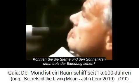 "USA": Ein Journalist fragt die
                    Fallschirmspringer, ob sie Sterne gesehen haben