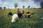 Natur
                              pur: Schaf und Familie auf der
                              Blumenwiese