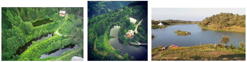 Renaturierung mit Sepp Holzer (�sterreich):
                      Teichsysteme auf dem Krameterhof (�sterreich) und
                      ein k�nstlicher See in Tamera in Portugal