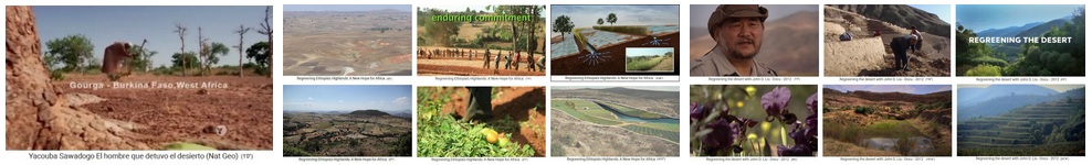 Reforestaci�n - convertir desiertos en bosques