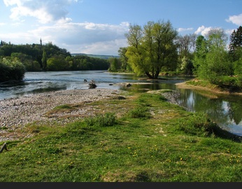 Paesaggio golenale, isola di Limmat, Svizzera
